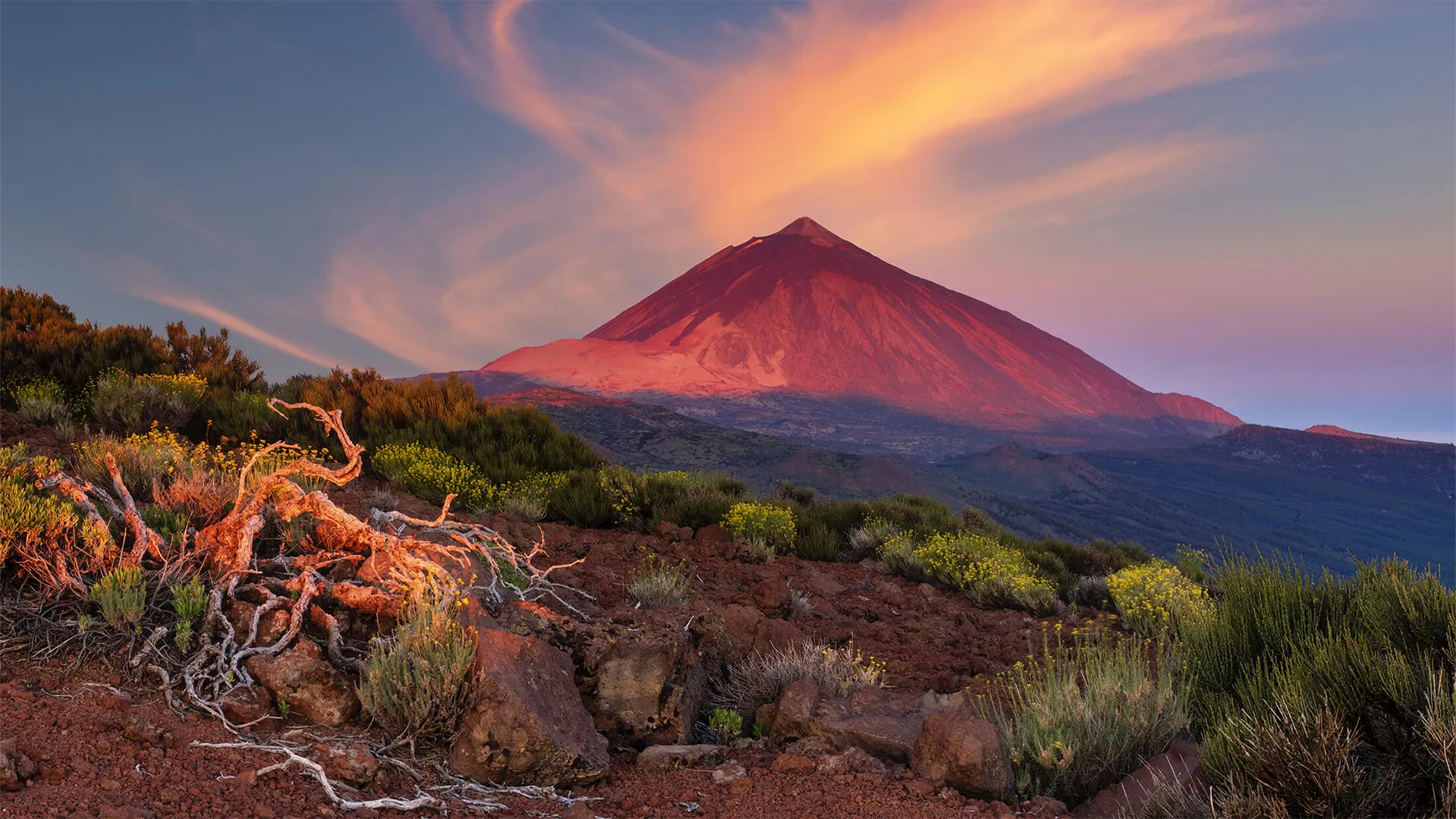 Teidės ugnikalnis, Tenerifė