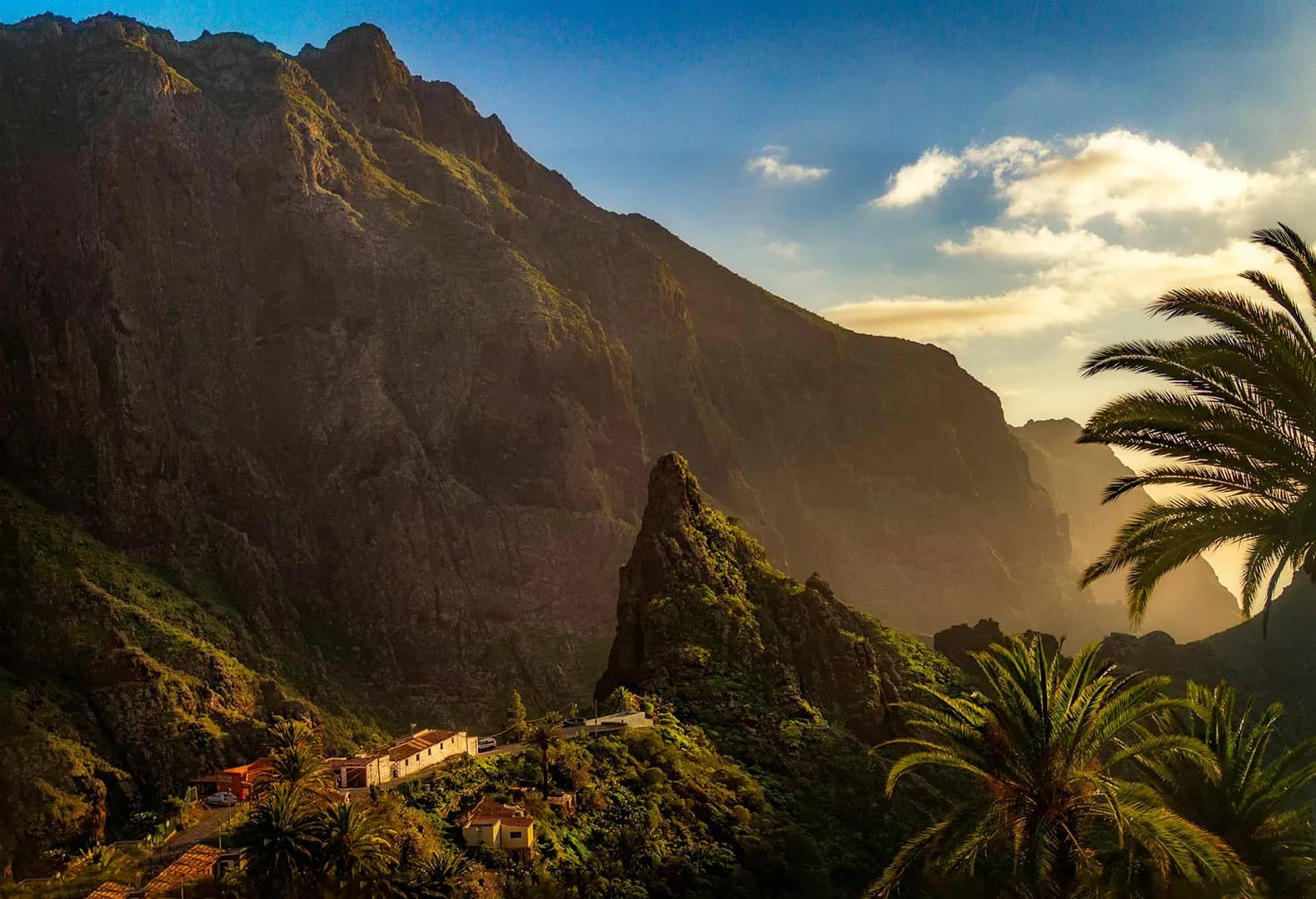 Siamo parkas, Tenerifė