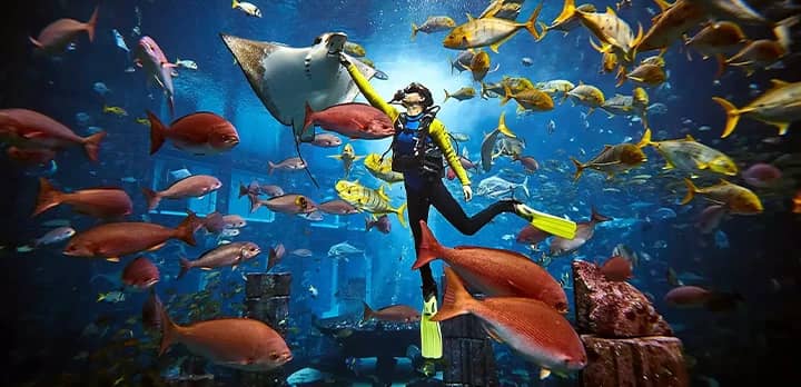 Aquaventure vandens pramogų parkas